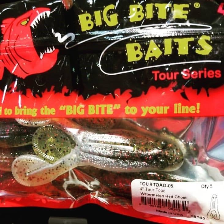 Big Bite Baits: Buzz Through Fall Fishing - Collegiate Bass